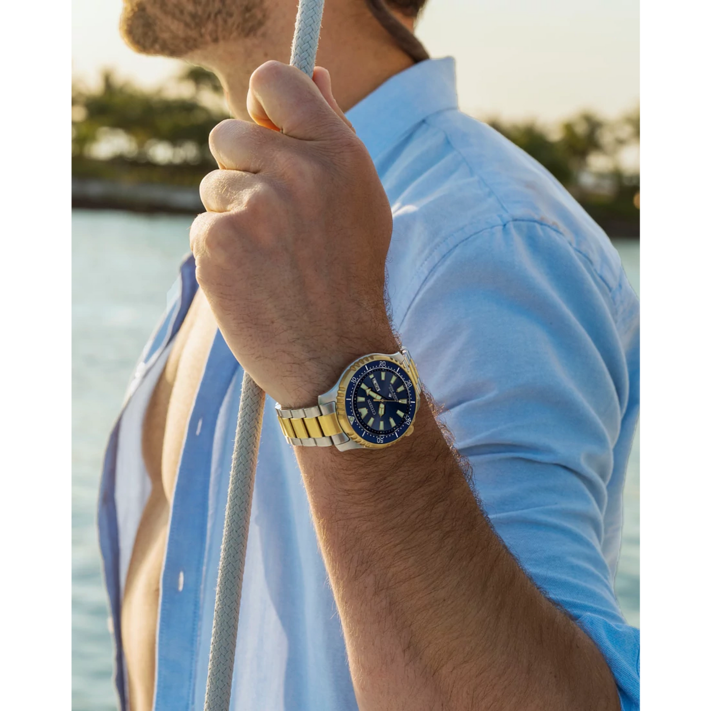 Citizen Promaster Dive Automatic | Citizen | Luby