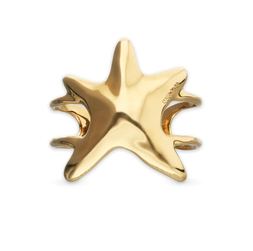 Pulsera Starborn