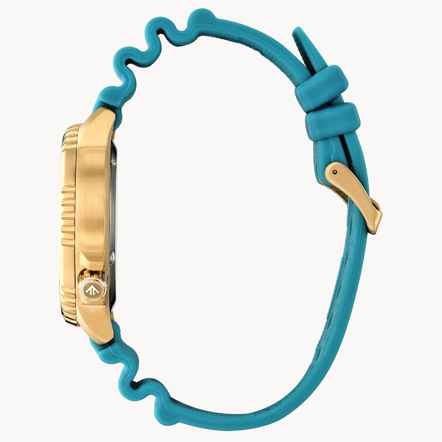 Citizen Promaster Dive | Citizen | Luby