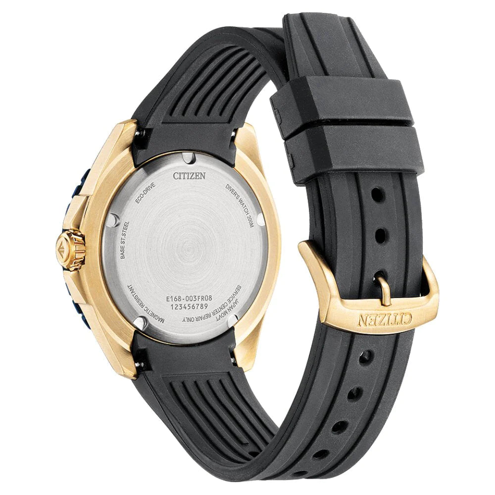 Citizen Promaster Dive | Citizen | Luby