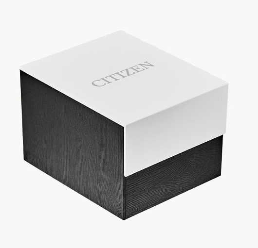 Drive Stainless Steel | Citizen | Luby