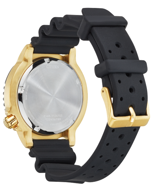 Professional Diver (Black/Gold) | Citizen | Luby 