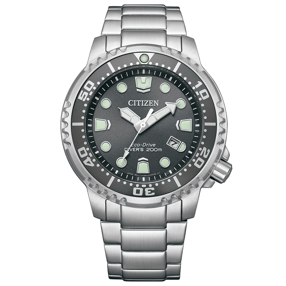 Promaster Dive Gray Dial | Citizen | Luby 