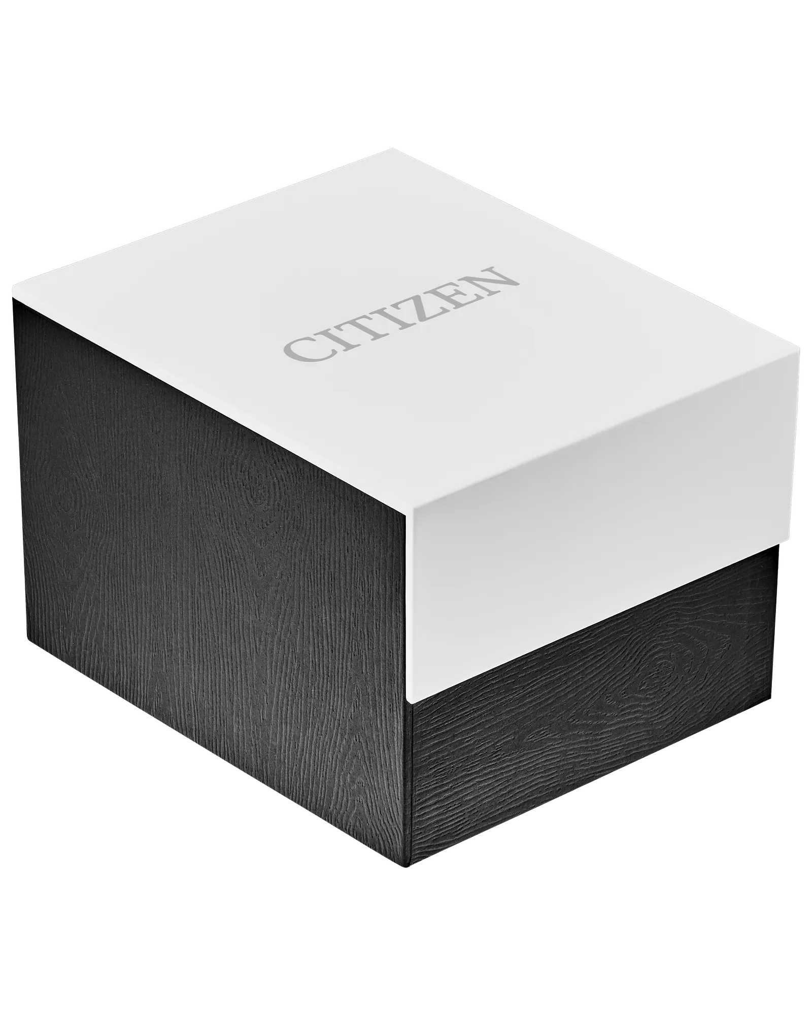 TSUYOSA 60 Two Tone | Citizen | Luby 