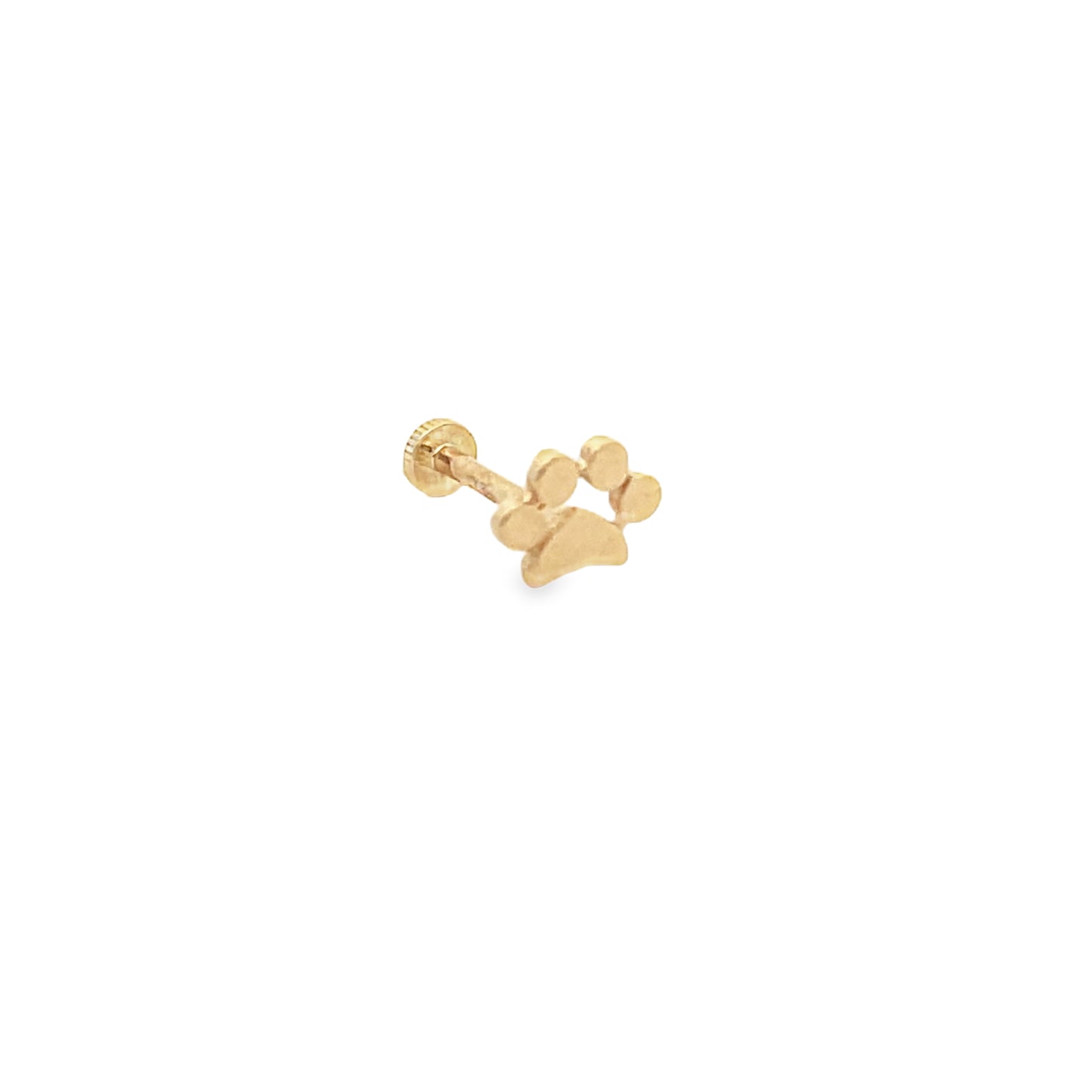 14K Gold Paw Print Piercing