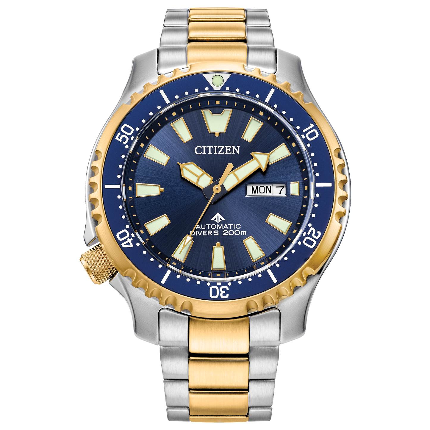 Citizen Promaster Dive Automatic