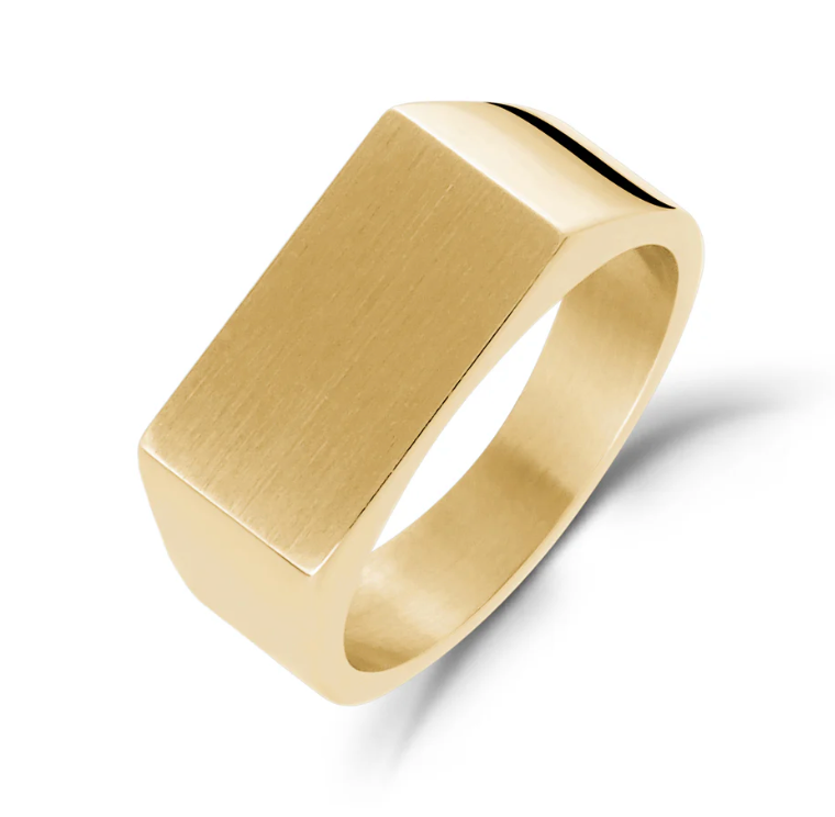 Stainless-Steel Shine Signet Ring | ARZ Steel | Luby 