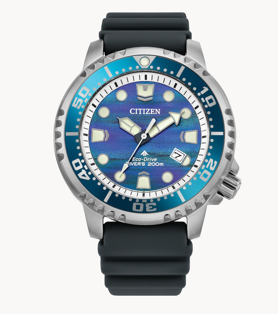 Promaster Dive