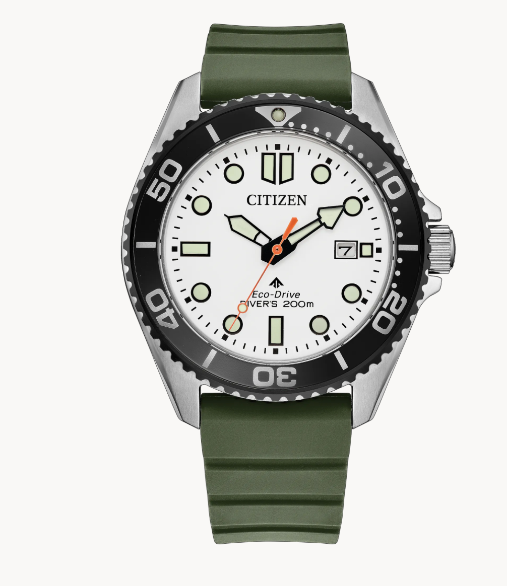 Promaster Dive