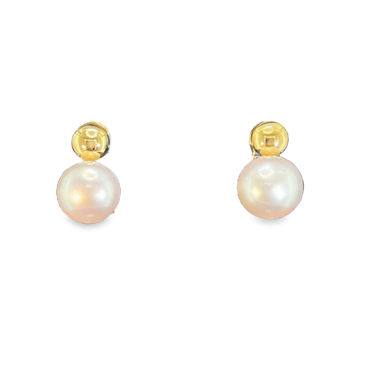 14K Gold Saltwater Pearls Earrings