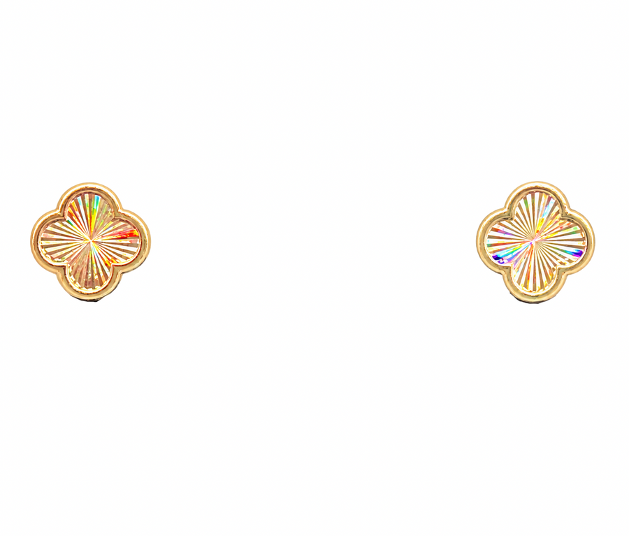 14K Gold Shine Flowers Earrings