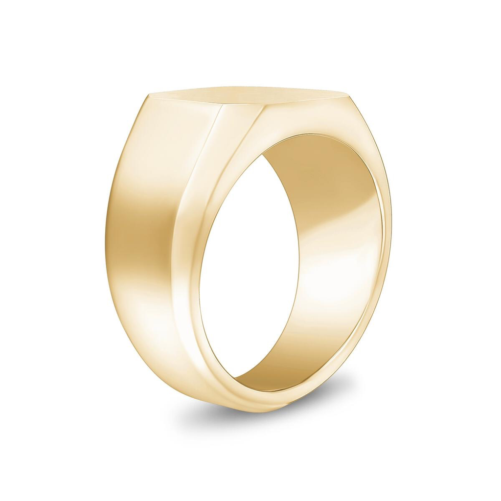 Stainless-Steel Matte Signet Ring | ARZ Steel | Luby 