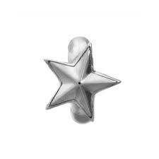 Encanto de estrella naciente (plata)