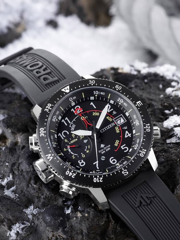 Promaster Altichron (Black) | Citizen | Luby 