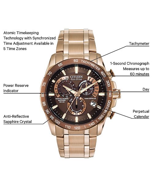 PCAT (Rose-Gold Brown) | Citizen | Luby 