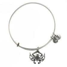 Crab Charm Bangle Bracelet (Silver) | Alex and Ani | Luby 