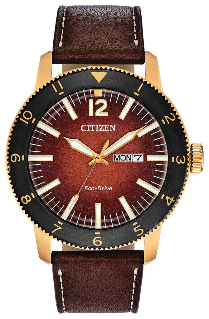 Vintage Brycen (Brown; Rose-Gold) | Citizen | Luby 