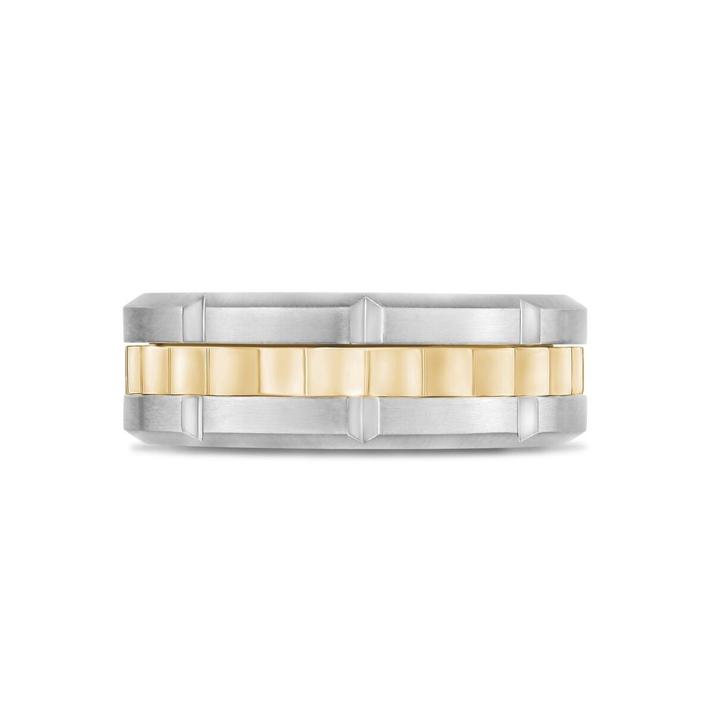 Matte & Shiny Spinner Ring | ARZ Steel | Luby 