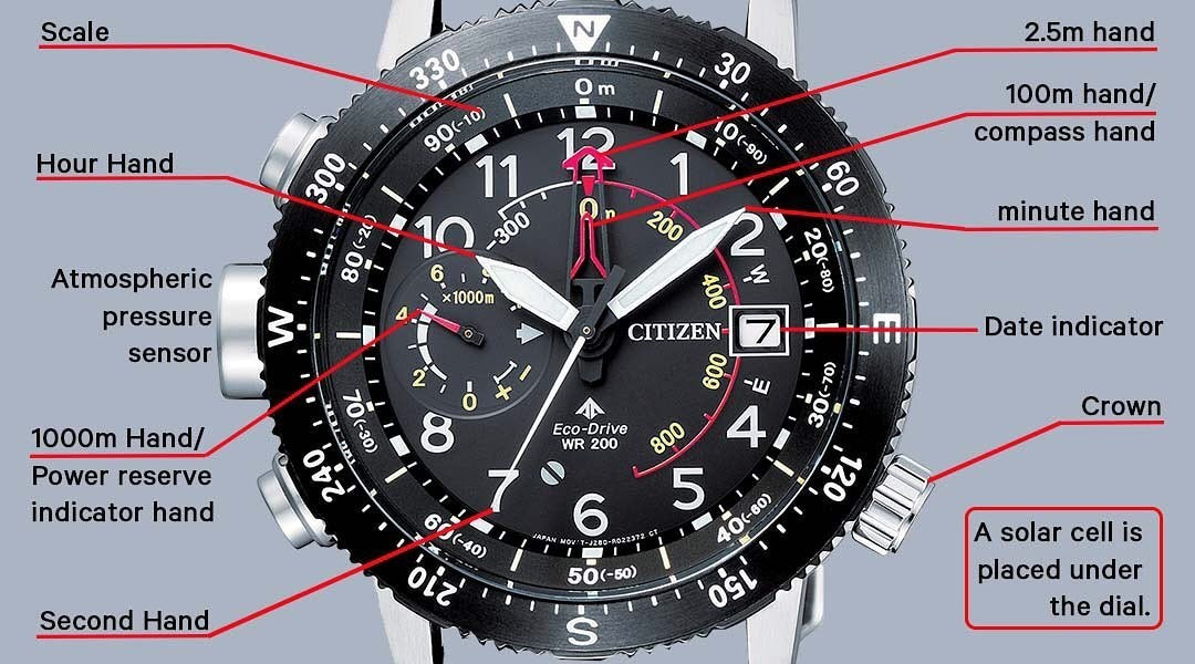 Promaster Altichron (Black) | Citizen | Luby 