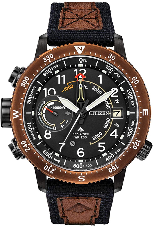 Promaster Altichron (Brown) | Citizen | Luby 
