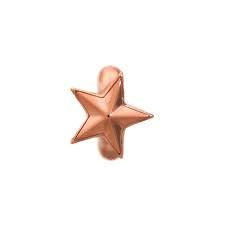 Encanto de estrella en ascenso (oro rosa)