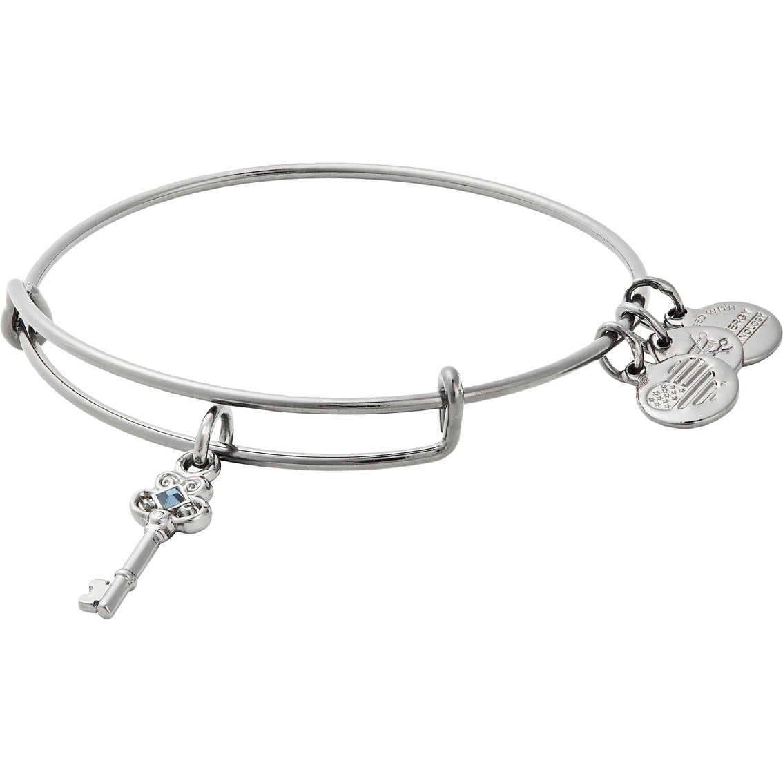 Key of Wisdom Charm (Silver) | Alex and Ani | Luby 