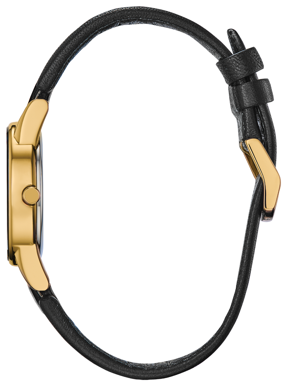 Axiom (Black-Gold) | Citizen | Luby 