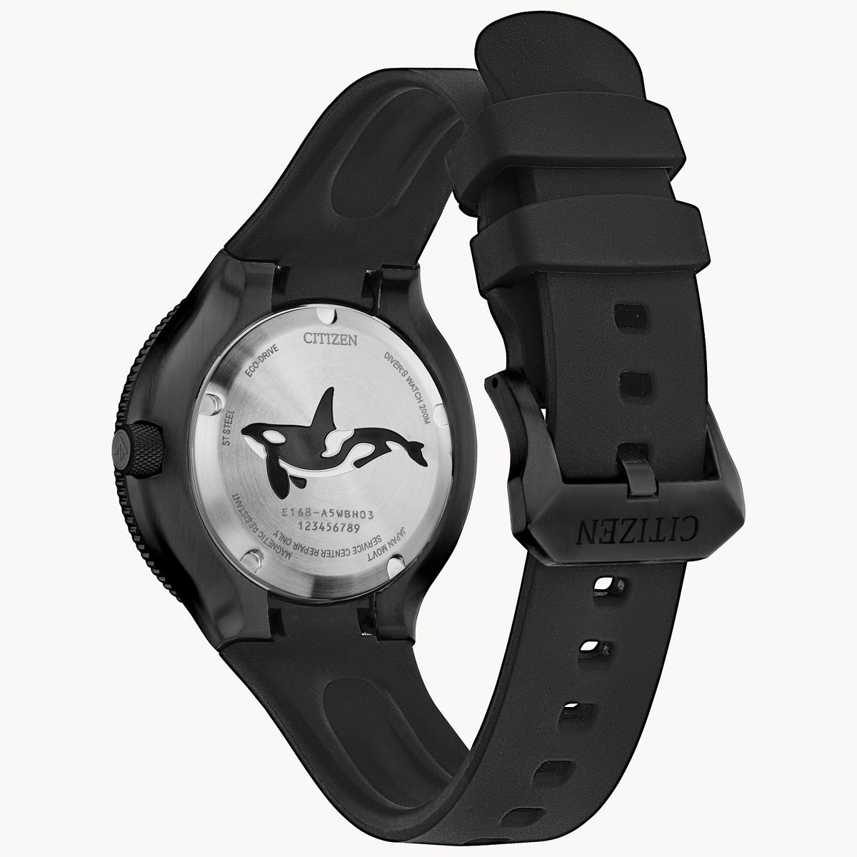 Promaster Dive in a Special Edition Box | Citizen | Luby 