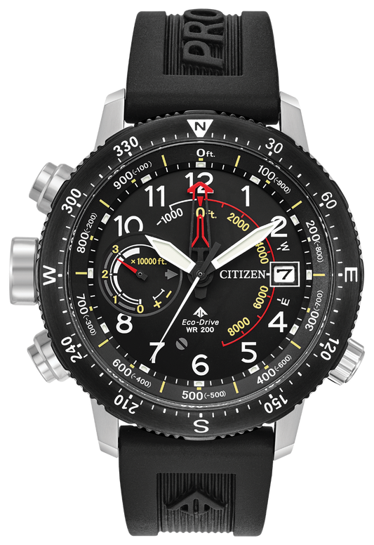 Promaster Altichron (Black) | Citizen | Luby 