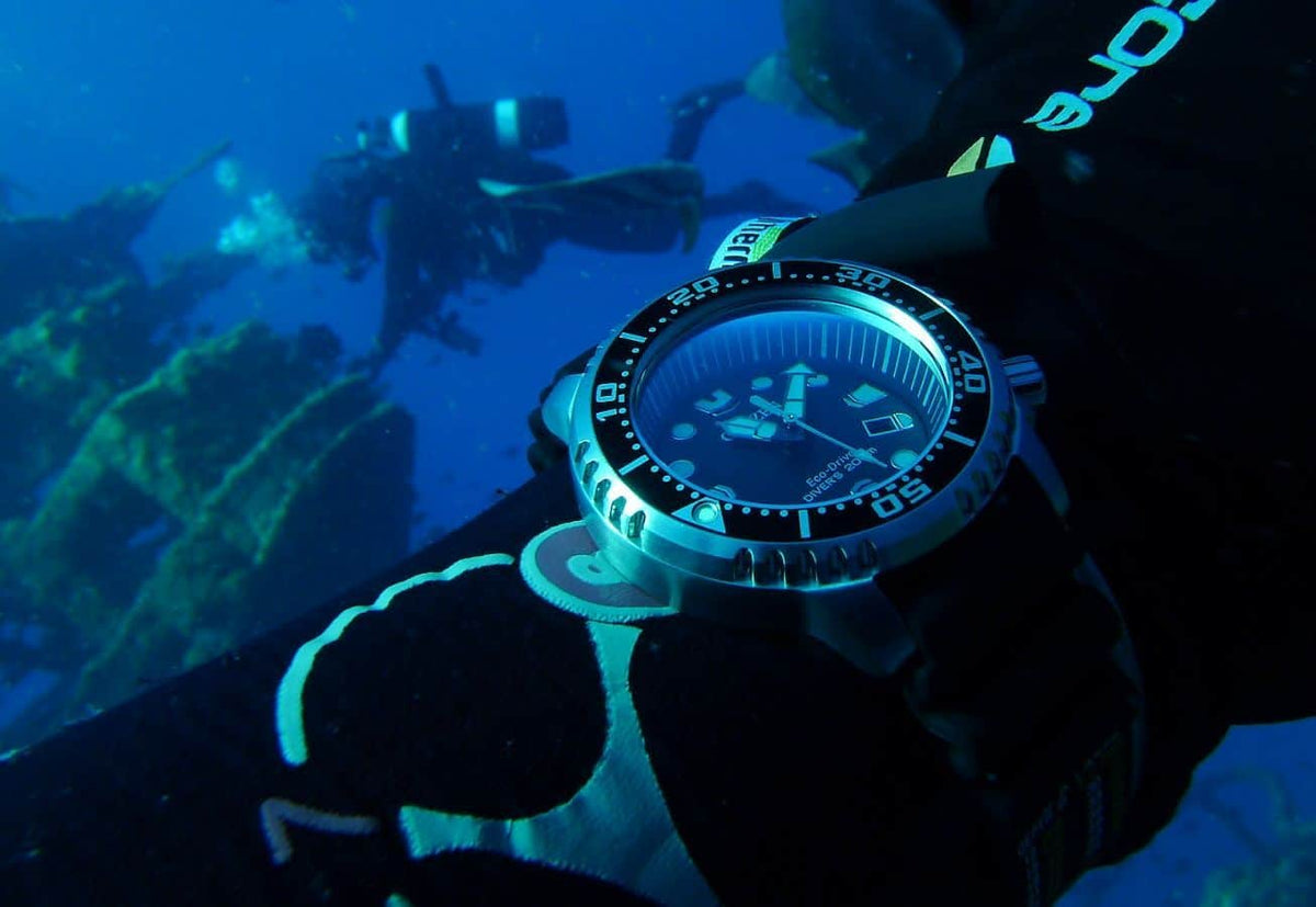 Promaster Diver (Silver-Black) | Citizen | Luby 