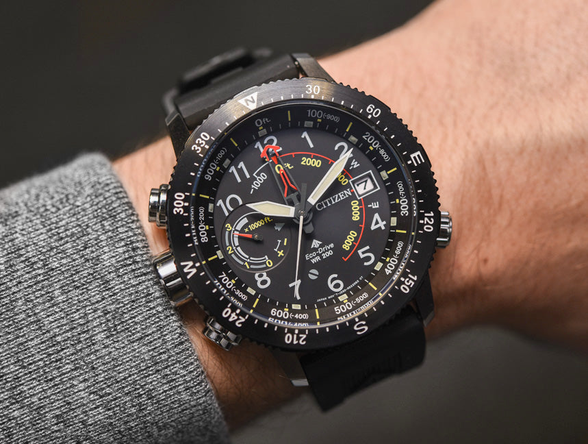 Promaster Altichron (Black) | Citizen | Luby 