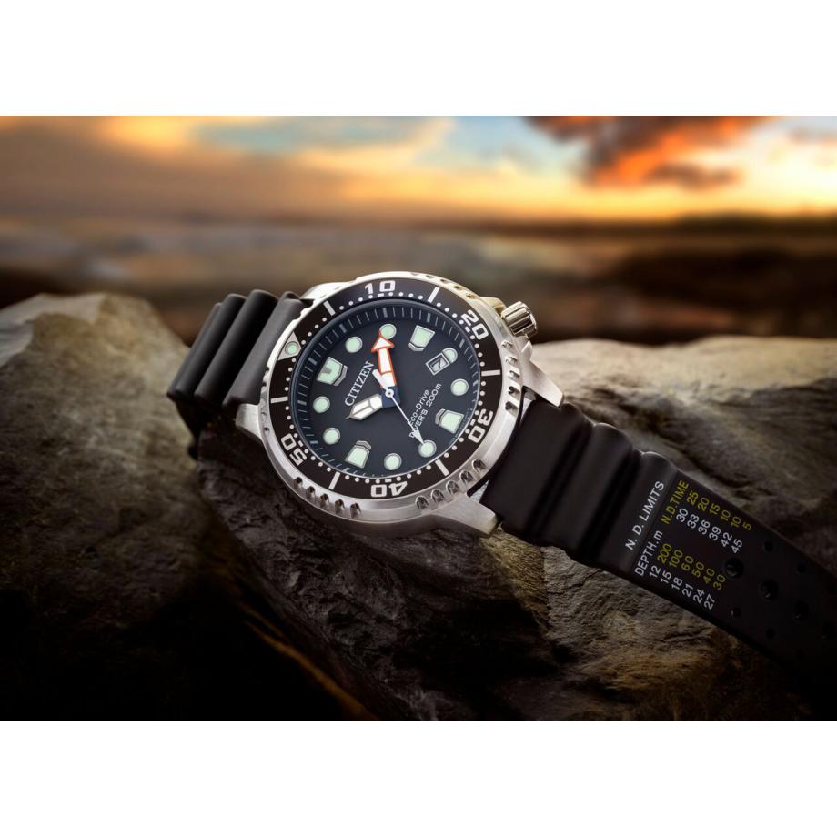 Promaster Diver (Silver-Black) | Citizen | Luby 