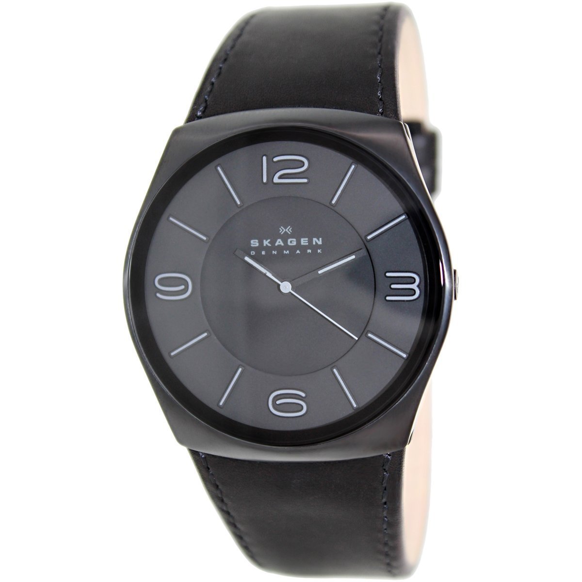 Havene Leather Watch (Black) | Skagen | Luby 