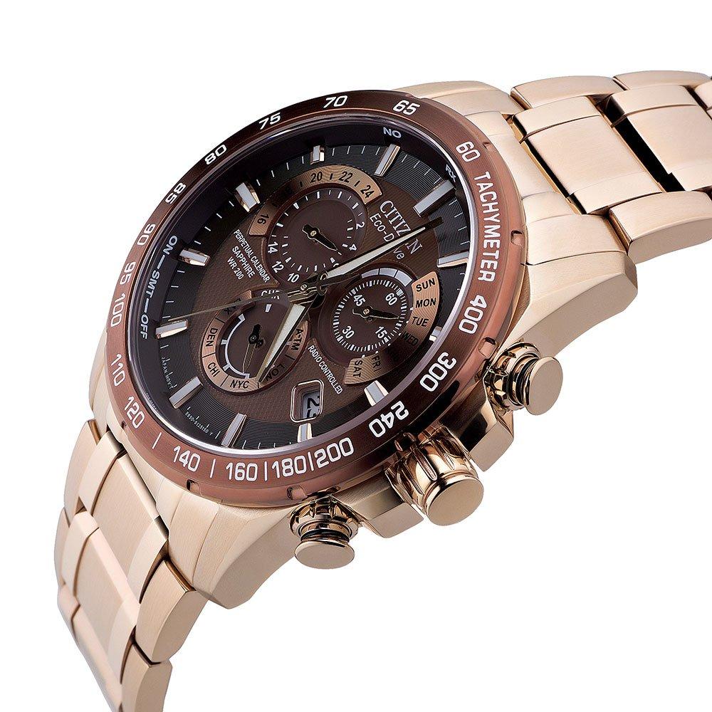 PCAT (Rose-Gold Brown) | Citizen | Luby 