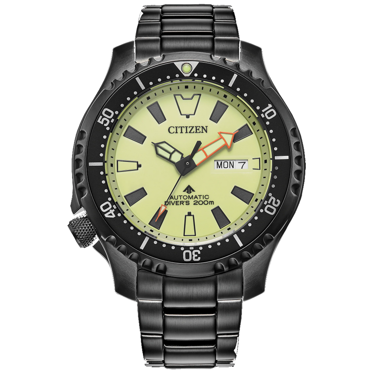 Citizen Promaster Dive Automatic | Citizen | Luby 
