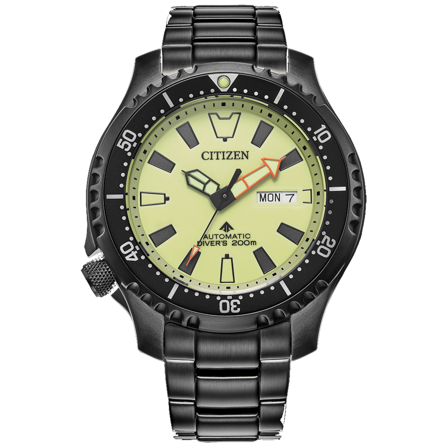 Citizen Promaster Dive Automatic