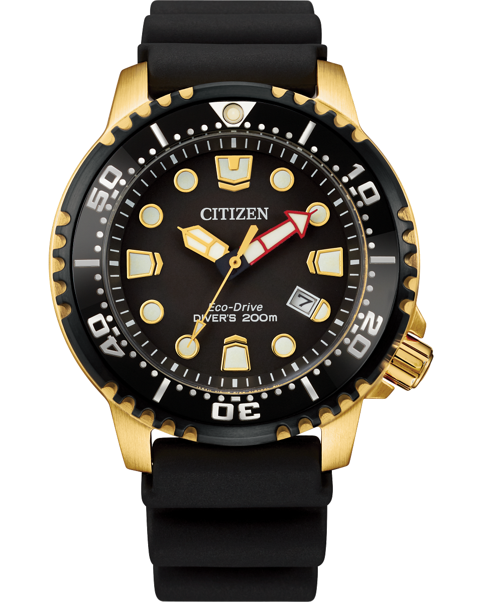 Professional Diver (Black/Gold) | Citizen | Luby 