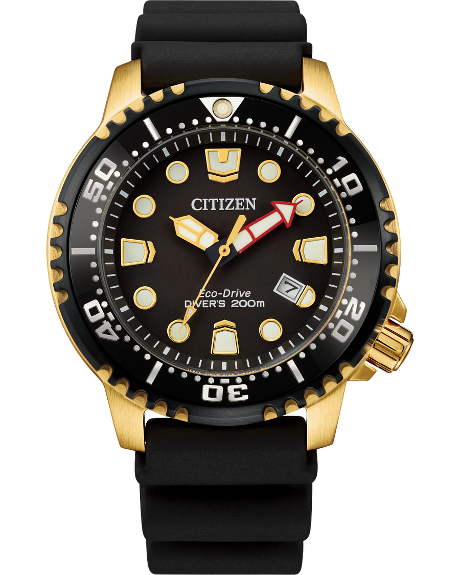Professional Diver (Black/Gold)