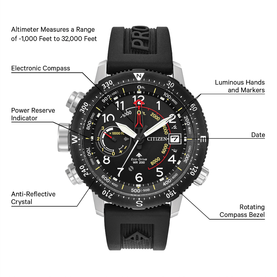 Promaster Altichron (Black) | Citizen | Luby 