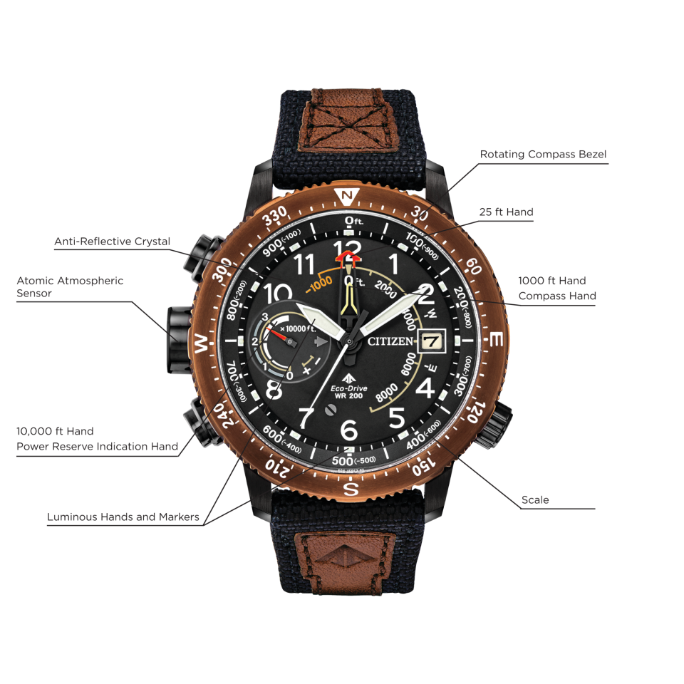 Promaster Altichron (Brown) | Citizen | Luby 