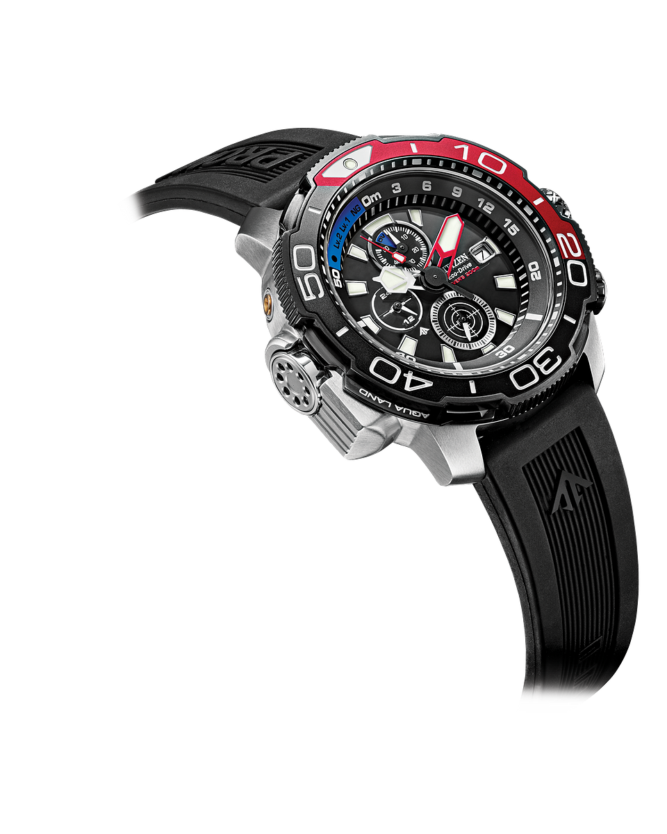 Promaster Aqualand Watch (Black/Silver) | Citizen | Luby 