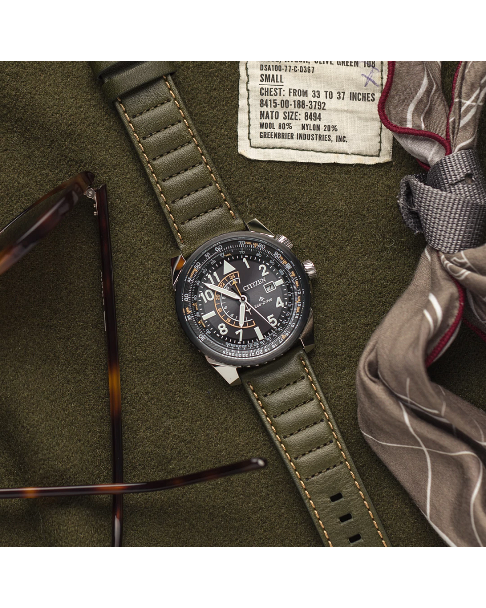ProMaster NightHawk (Silver/Green) | Citizen | Luby 