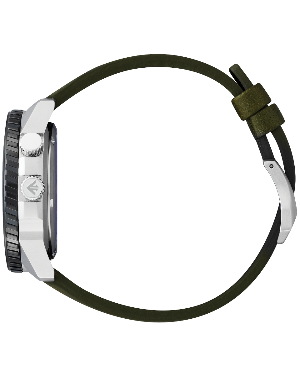 ProMaster NightHawk (Silver/Green) | Citizen | Luby 