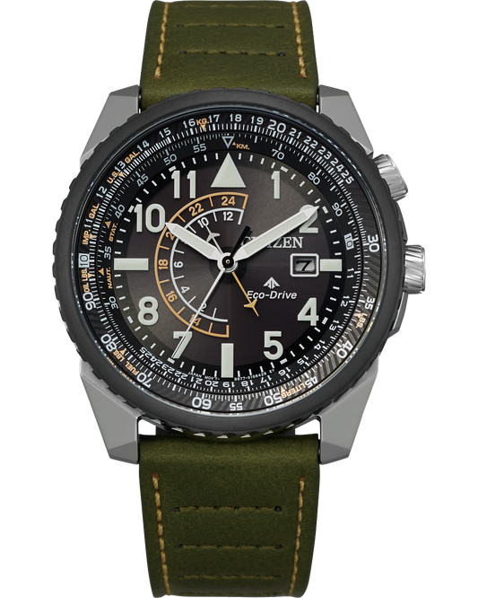 ProMaster NightHawk (Silver/Green) | Citizen | Luby 