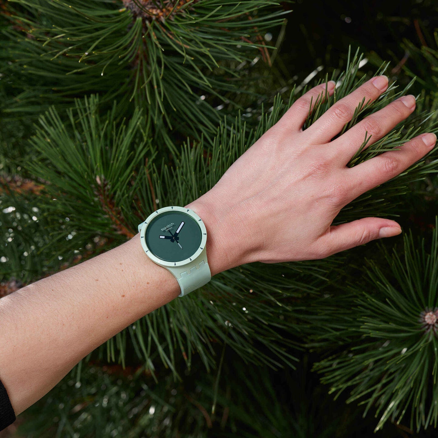 Big Bold Bioceramic Forest | Swatch | Luby 