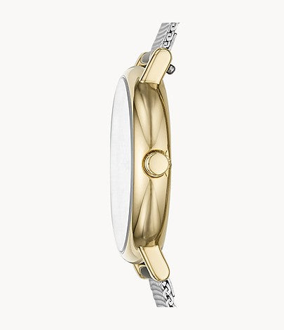 Signatur Mesh Watch (Silver/Gold) | Skagen | Luby 