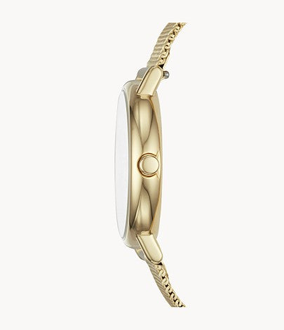 Signatur Mesh Watch (Gold/Blue) | Skagen | Luby 