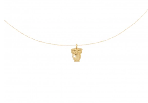 Owl Intuition Necklace