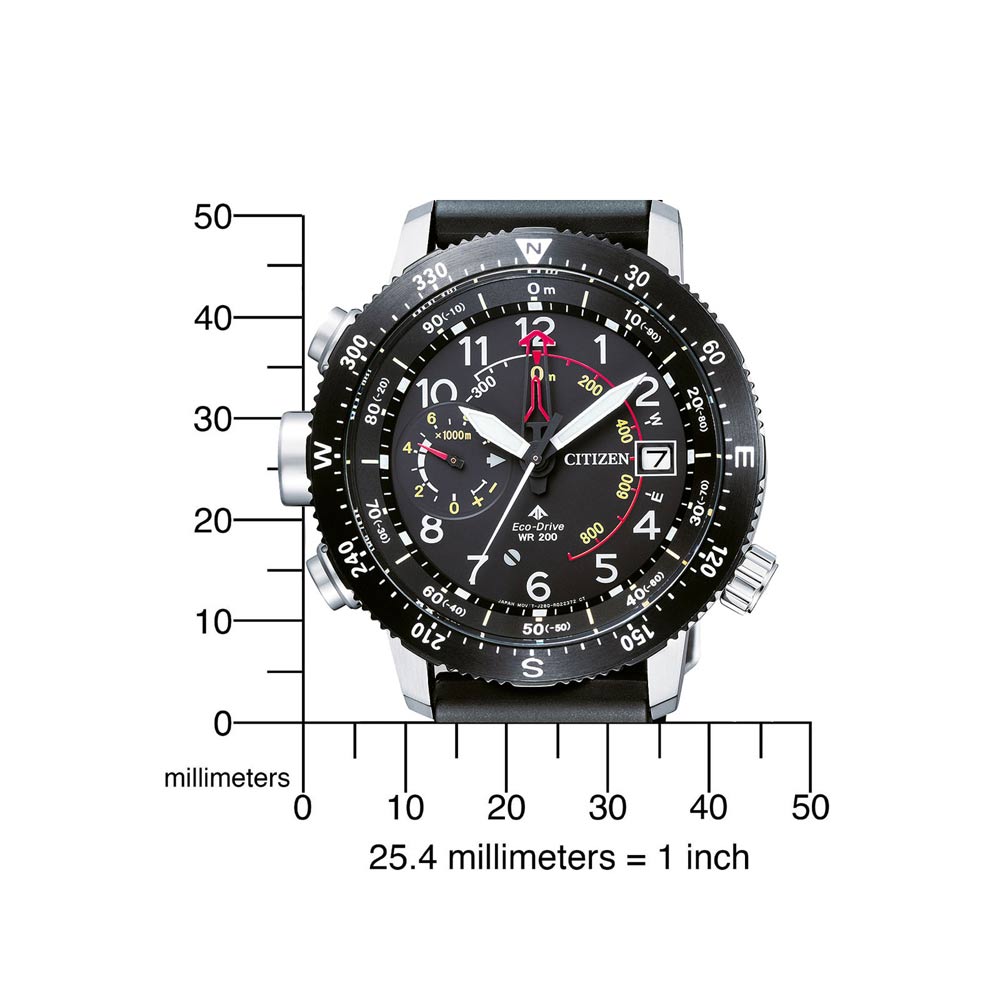 Promaster Altichron (Black) | Citizen | Luby 