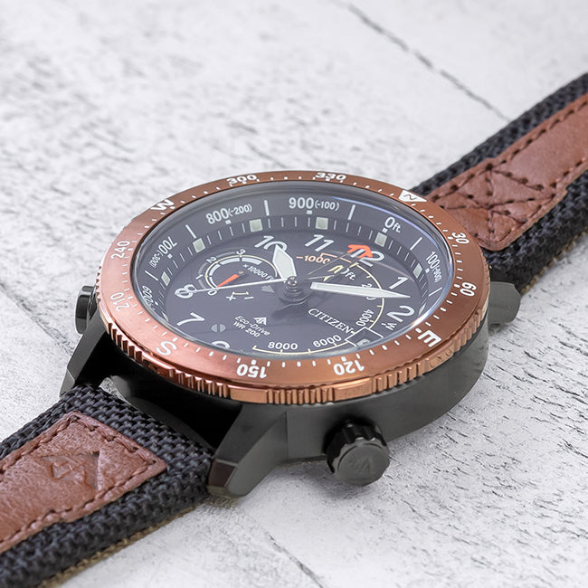Promaster Altichron (Brown) | Citizen | Luby 